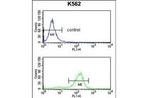 SDS Antibody (N-term) (ABIN652984 and ABIN2842624) flow cytometry analysis of K562 cells (bottom histogram) compared to a negative control cell (top histogram). (serine Dehydratase anticorps  (N-Term))