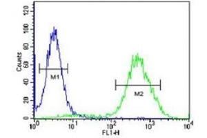 CCR1 antibody flow cytometric analysis of 293 cells (right histogram) compared to a negative control (left histogram).