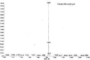 Mass Spectrometry (MS) image for Histone H3 (H3) (H3K4ac) protein (ABIN2669563)