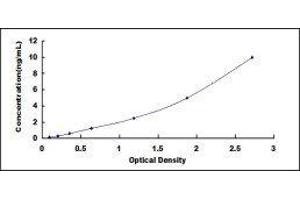 Perforin 1 (Pore Forming Protein) (PRF1) ELISA Kit