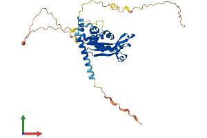AlphaFold protein structure predicition of Mouse Recombinant Aen Protein, UniprotID Q9CZI9