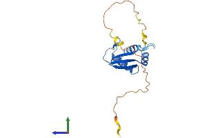 AlphaFold protein structure predicition of Mouse Recombinant Rps10 Protein, UniprotID P63325