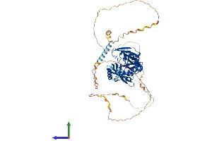 AlphaFold protein structure predicition of Mouse Recombinant Syn2 Protein, UniprotID Q64332