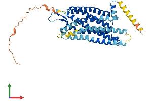 AlphaFold protein structure predicition of Mouse Recombinant Ghsr Protein, UniprotID Q99P50
