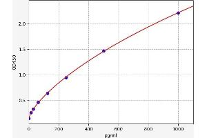 Betacellulin (BTC) ELISA Kit