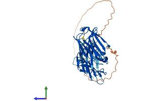 AlphaFold protein structure predicition of Mouse Recombinant Lgals9 Protein, UniprotID O08573