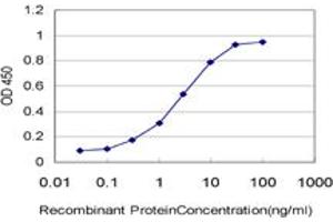 Detection limit for recombinant GST tagged ATOX1 is approximately 0. (ATOX1 anticorps  (AA 1-68))