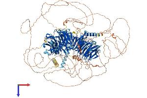 AlphaFold protein structure predicition of Mouse Recombinant Mapkbp1 Protein, UniprotID Q6NS57