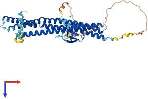 AlphaFold protein structure predicition of Mouse Recombinant Sh3gl1 Protein, UniprotID Q62419