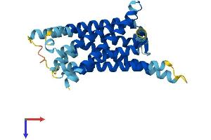 AlphaFold protein structure predicition of Human Recombinant TAS2R10 Protein, UniprotID Q9NYW0