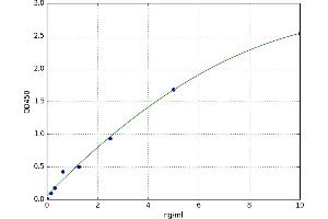 Microtubule-Associated Protein 2 (MAP2) ELISA Kit