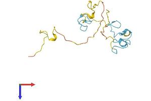 AlphaFold protein structure predicition of Human Recombinant ZCCHC13 Protein, UniprotID Q8WW36