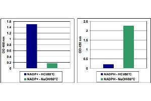 NADP+/NADPH Detection.