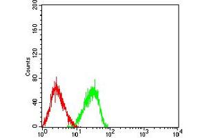 Flow cytometric analysis of HL-60 cells using TLL1 mouse mAb (green) and negative control (red).