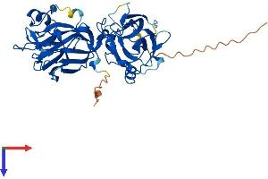AlphaFold protein structure predicition of Mouse Recombinant Allc Protein, UniprotID Q9JHX6