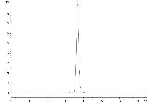 The purity of Human BST2 is greater than 95 % as determined by SEC-HPLC.