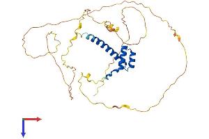 AlphaFold protein structure predicition of Mouse Recombinant Hoxc10 Protein, UniprotID P31257