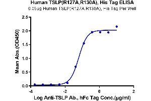 Immobilized Human TSLP (R127A,R130A), His Tag at 0.