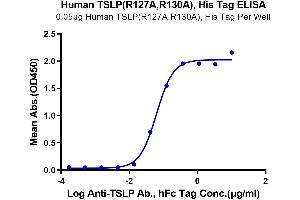 Immobilized Human TSLP (R127A,R130A), His Tag at 0. (Thymic Stromal Lymphopoietin Protein (TSLP) (Arg127Ala-Mutant, Arg130Ala-Mutant) (His-Avi Tag))