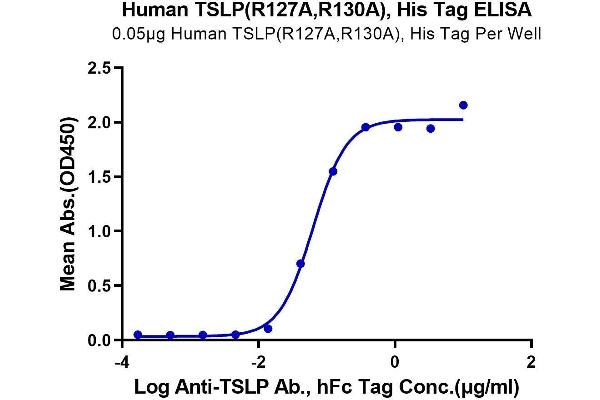 Thymic Stromal Lymphopoietin Protein (TSLP) (Arg127Ala-Mutant, Arg130Ala-Mutant) (His-Avi Tag)