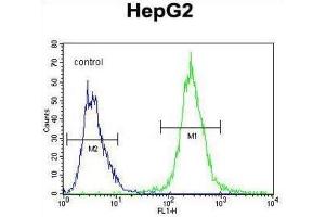 Flow Cytometry (FACS) image for anti-Partner and Localizer of BRCA2 (PALB2) antibody (ABIN2996319)
