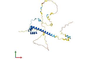 AlphaFold protein structure predicition of Human Recombinant TLX2 Protein, UniprotID O43763
