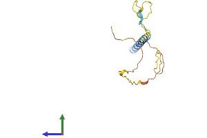 AlphaFold protein structure predicition of Mouse Recombinant Scimp Protein, UniprotID Q3UU41