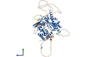 AlphaFold protein structure predicition of Mouse Recombinant Strbp Protein, UniprotID Q91WM1