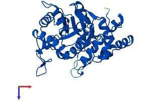 AlphaFold protein structure predicition of Human Recombinant AKR1D1 Protein, UniprotID P51857