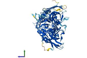 AlphaFold protein structure predicition of Human Recombinant PRMT7 Protein, UniprotID Q9NVM4