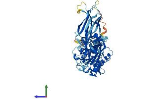 AlphaFold protein structure predicition of Mouse Recombinant Cpne4 Protein, UniprotID Q8BLR2