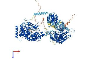AlphaFold protein structure predicition of Human Recombinant NOS2 Protein, UniprotID P35228