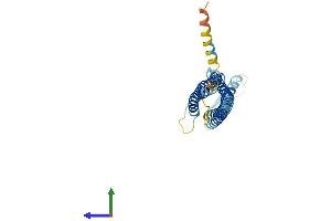 AlphaFold protein structure predicition of Mouse Recombinant Gpm6a Protein, UniprotID P35802