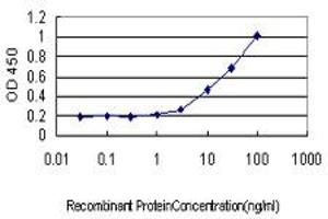 Detection limit for recombinant GST tagged HHEX is approximately 0. (HHEX anticorps  (AA 1-270))