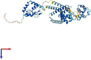 AlphaFold protein structure predicition of Human Recombinant BFAR Protein, UniprotID Q9NZS9