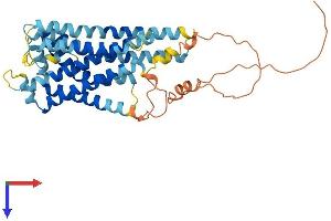 AlphaFold protein structure predicition of Mouse Recombinant Gpr143 Protein, UniprotID P70259