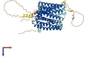 AlphaFold protein structure predicition of Mouse Recombinant Slc40a1 Protein, UniprotID Q9JHI9