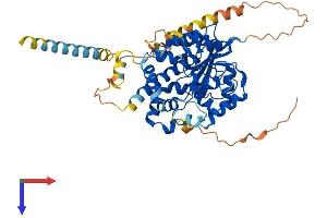 AlphaFold protein structure predicition of Human Recombinant CHST7 Protein, UniprotID Q9NS84