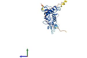 AlphaFold protein structure predicition of Human Recombinant CDC34 Protein, UniprotID P49427