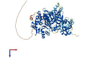 AlphaFold protein structure predicition of Mouse Recombinant Acsbg1 Protein, UniprotID Q99PU5