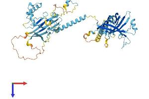 AlphaFold protein structure predicition of Human Recombinant MKS1 Protein, UniprotID Q9NXB0