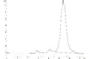The purity of Human CD161 is greater than 95 % as determined by SEC-HPLC.