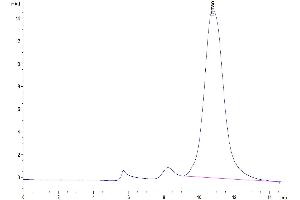 The purity of Human CD161 is greater than 95 % as determined by SEC-HPLC. (CD161 Protein (AA 67-225) (His tag))