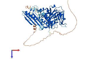 AlphaFold protein structure predicition of Human Recombinant PARP2 Protein, UniprotID Q9UGN5