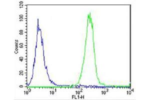 Overlay histogram showing SH-SY5Y cells stained with (ABIN6242763 and ABIN6577904) (green line).