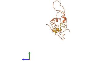 AlphaFold protein structure predicition of Human Recombinant KRTAP9-9 Protein, UniprotID Q9BYP9