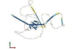 AlphaFold protein structure predicition of Mouse Recombinant Traf3ip1 Protein, UniprotID Q149C2