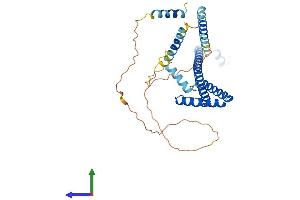 AlphaFold protein structure predicition of Mouse Recombinant Surf6 Protein, UniprotID P70279