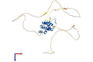 AlphaFold protein structure predicition of Human Recombinant PPP4R2 Protein, UniprotID Q9NY27