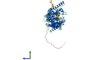 AlphaFold protein structure predicition of Human Recombinant ABCG5 Protein, UniprotID Q9H222